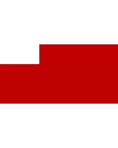 Fahne: Flagge: Abu Dhabi