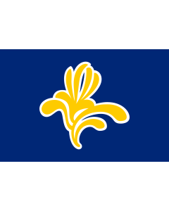 Fahne: Flagge: Bruxelles