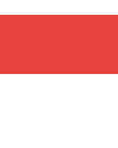 Fahne: Flagge: Solothurn