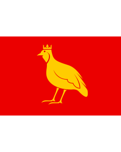 Fahne: Flagge: Aunis | French province of Aunis | L Aunis | Banniel proviñs Aunis | Drapèu d Aunis