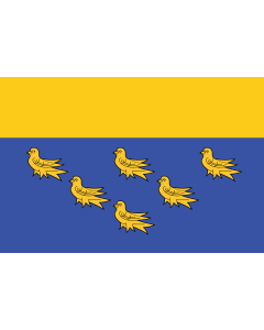 Fahne: Flagge: West Sussex