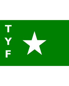 Fahne: Flagge: TYF