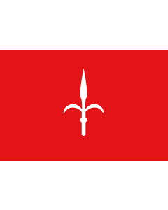 Fahne: Flagge: Provinz Trieste