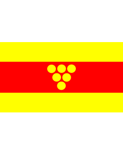 Fahne: Flagge: Negotino Municipality, North Macedonia | Negotino Municipality, Macedonia | Знаме на Општина Неготино