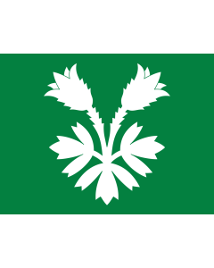 Fahne: Flagge: Oppland