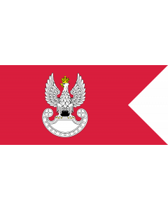 Fahne: Flagge: Polish Land Forces | Polish Ground Forces flag. Adopted in 1993 | Wojsk Lądowych. Wprowadzona w 1993