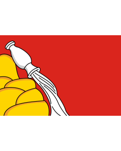 Fahne: Flagge: Oblast Woronesch