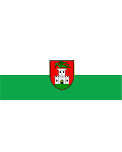 Fahne: Flagge: Stadt Ljubljana, Hauptstadt von Slowenien