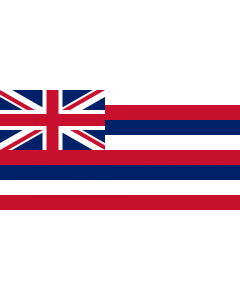 Fahne: Flagge: Hawaii