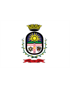 Fahne: Flagge: Cerro Largo
