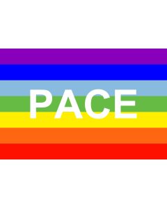 Fahne: Flagge: PACE